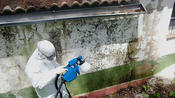 Trusted Mold Testing service in Clarence, PA - Cheap Mold Removal
